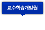 교수학습개발원