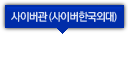 사이버관